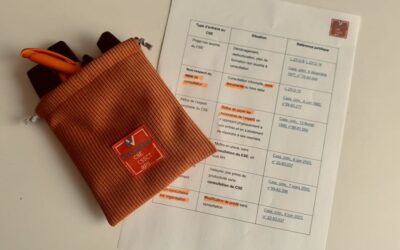 Tableau des principaux cas de délit d’entrave : tout savoir